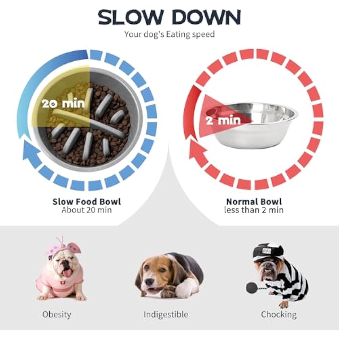 FOREYY Adjustable Elevated Dog Bowls | 5 Heights Raised Stand with Slow Feeder
