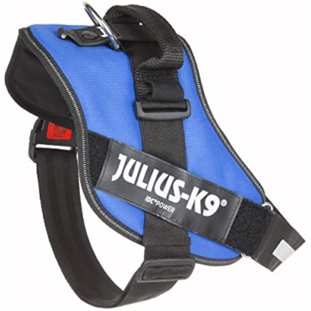 Julius-K9 IDC Powerharness Dog Harness | Size 3 | Blue Reflective