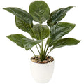 Hollyone 45cm Artificial Dieffenbachia Plant in Pot - Faux Tropical Greenery