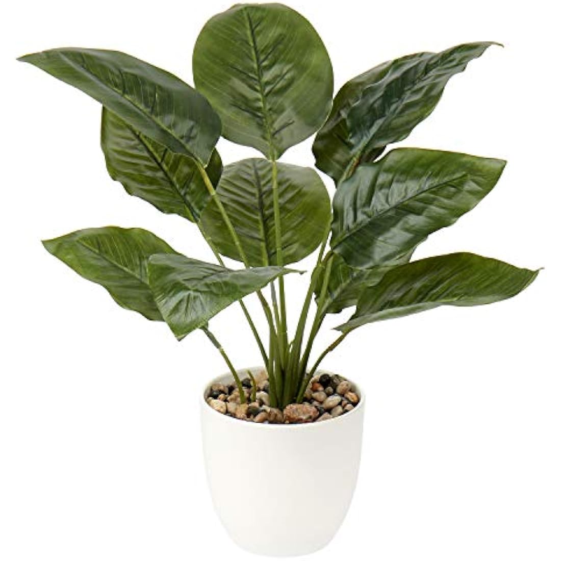 Hollyone 45cm Artificial Dieffenbachia Plant in Pot - Faux Tropical Greenery