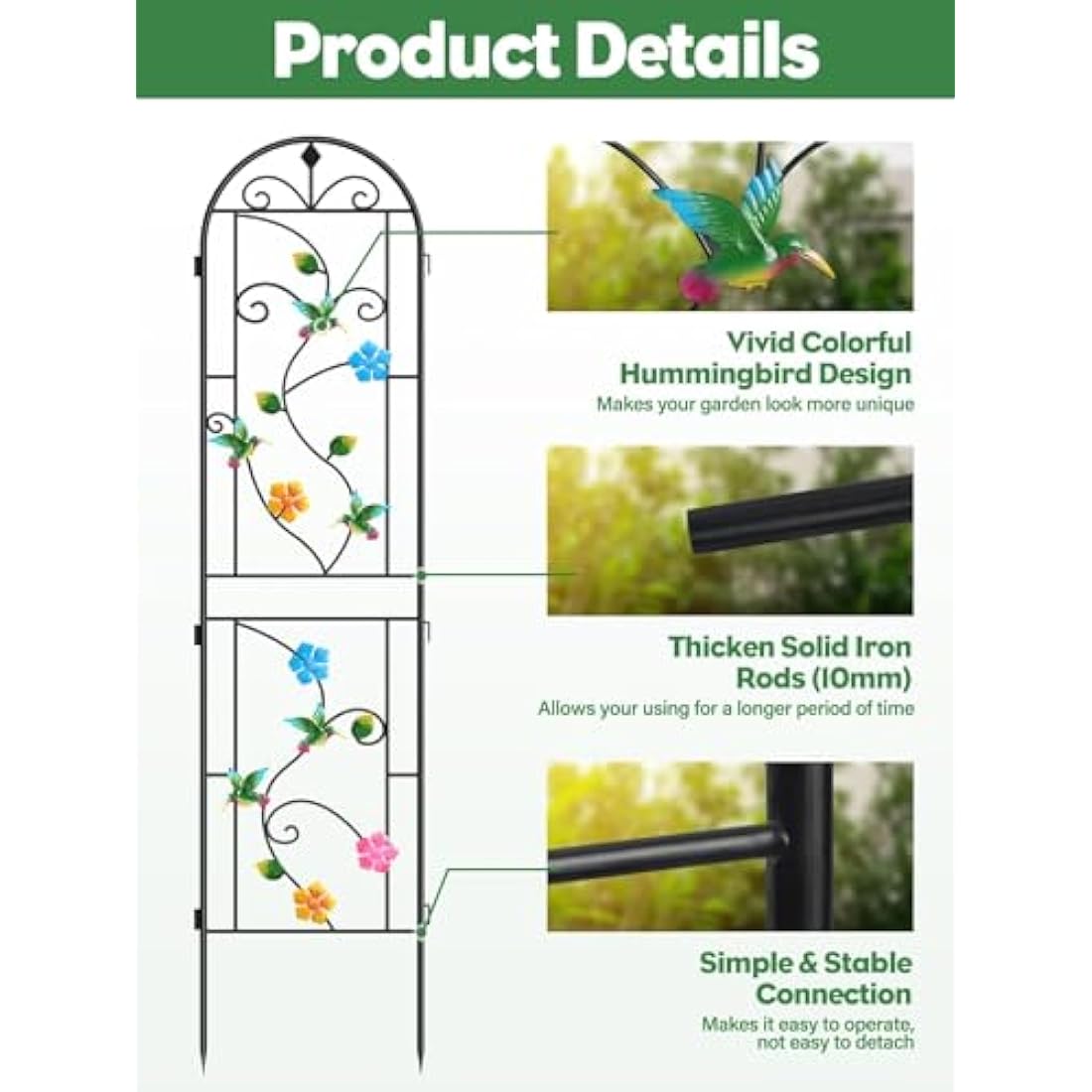 Jolof Store Hummingbird Garden Trellis | 2.2M Rustproof Metal Support