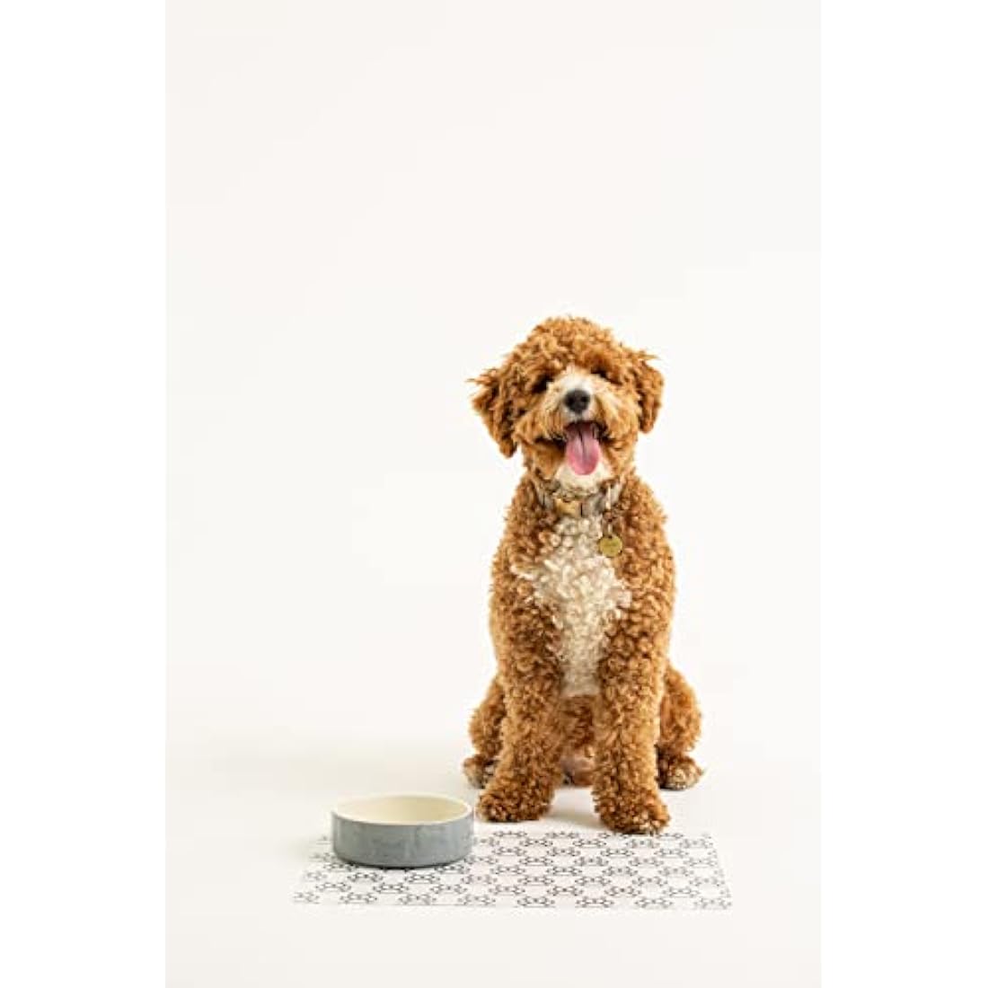 Mason Cash Grey Stoneware Dog Bowl | 15cm Durable Small Pet Bowl