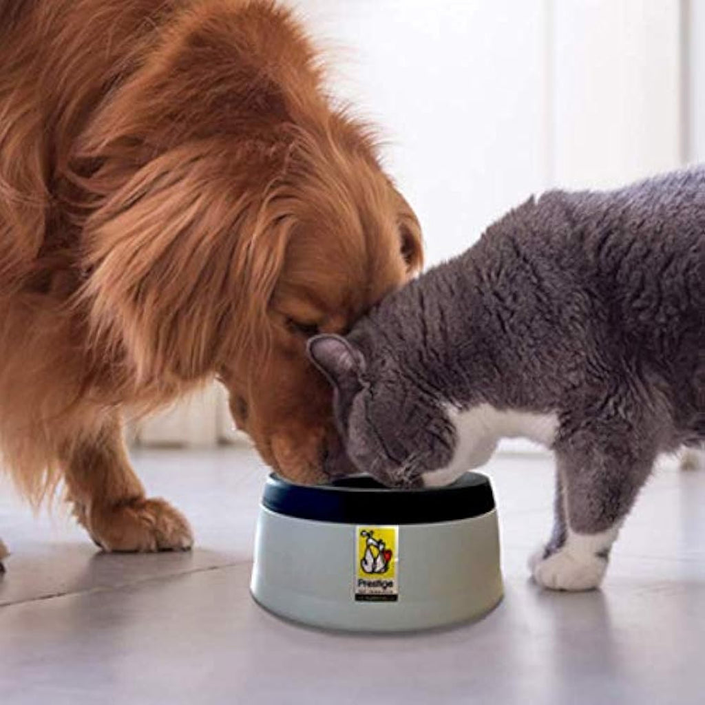 Road Refresher Non-Spill Pet Water Bowl - Grey, Large