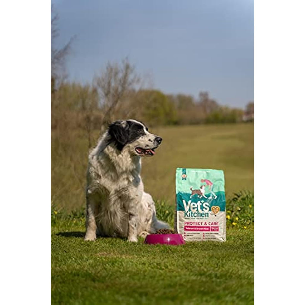 Vet's Kitchen Senior Dog Food – Salmon & Brown Rice Kibble – 3kg
