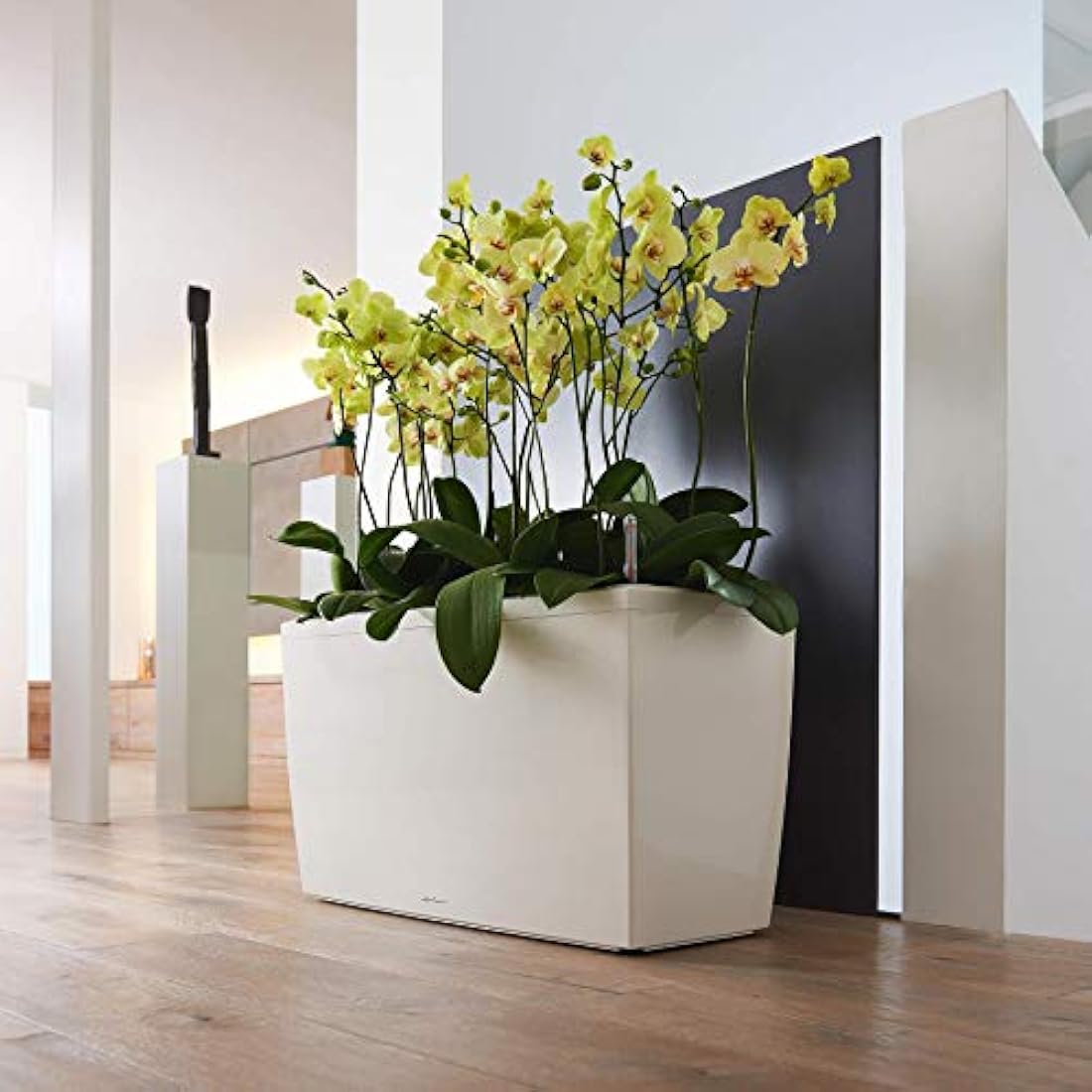Lechuza Cararo Premium Self-Watering Planter - Anthracite Metallic