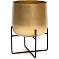 Gold Metal Plant Pot with Black Stand – 20cm Indoor Planter