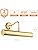 Brass Picture Wall Lamp – Traditional E14 LED Display Light