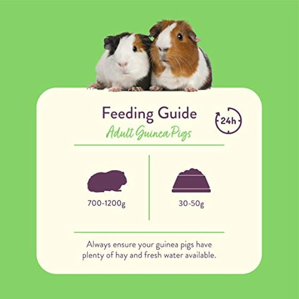 Burgess Excel Guinea Pig Food Nuggets with Mint & Vitamin C – 2kg