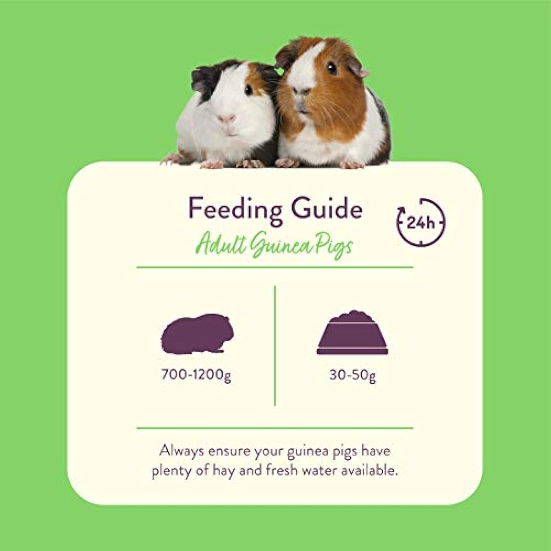 Burgess Excel Guinea Pig Food Nuggets with Mint & Vitamin C – 2kg