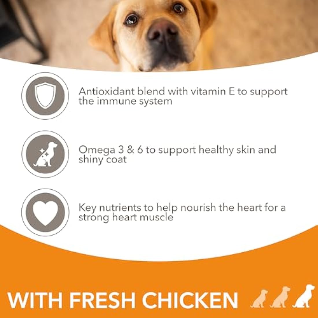 IAMS Adult Large Breed Dry Dog Food – Chicken & DentalCare – 12kg