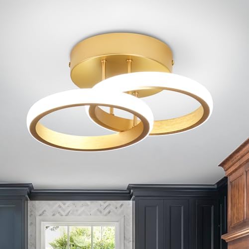 Jolof Store Modern LED Ceiling Light – 22W Gold Flush Mount 6000K
