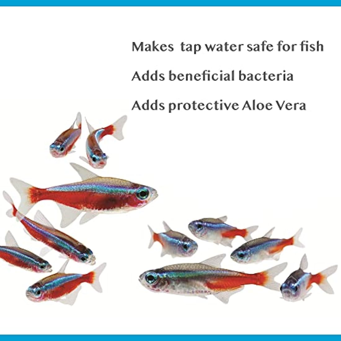 Interpet Bioactive Tapsafe Water Dechlorinator & Conditioner, 50ml
