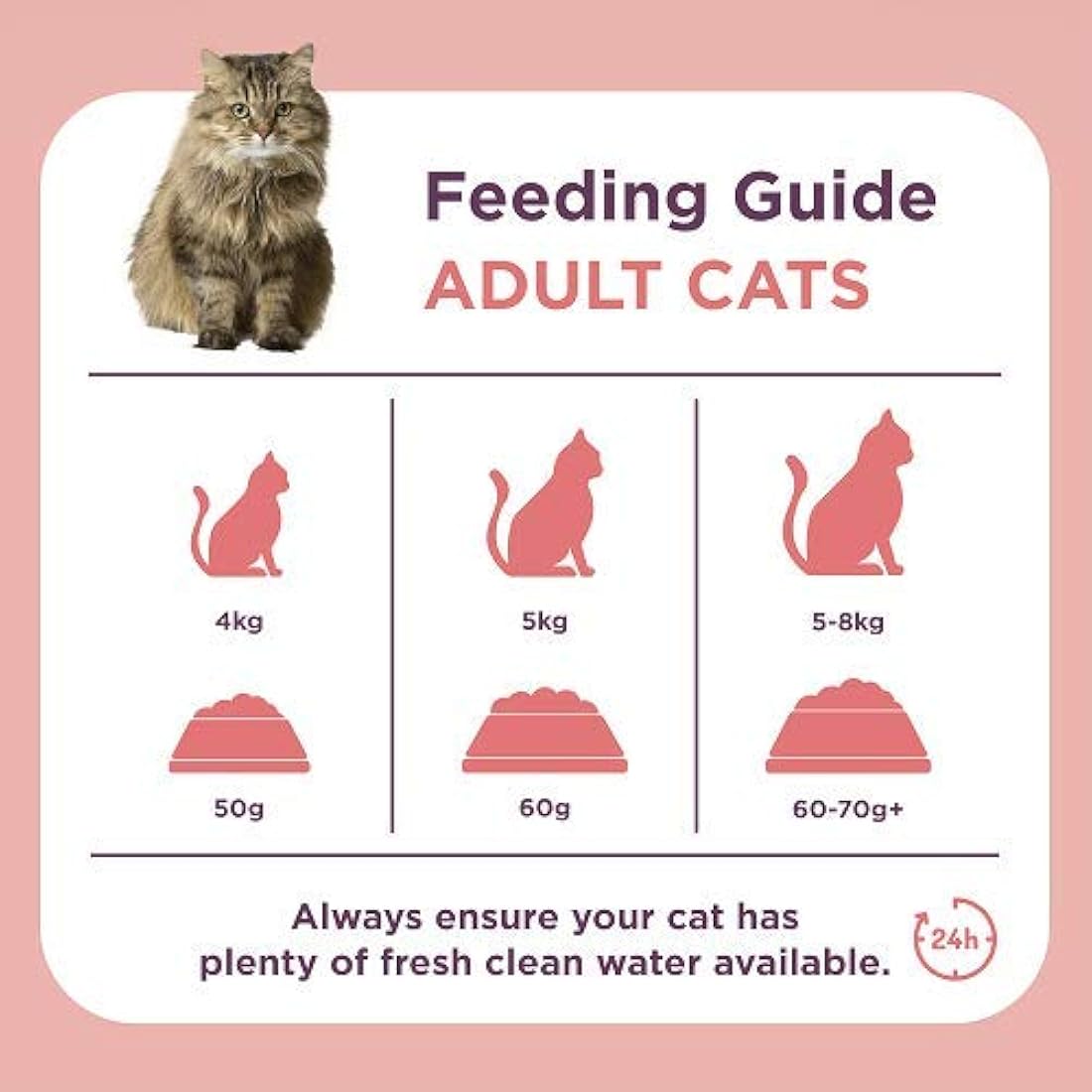 Burgess Salmon Dry Cat Food for Adult Cats – Digestive & Heart Health 1.5kg