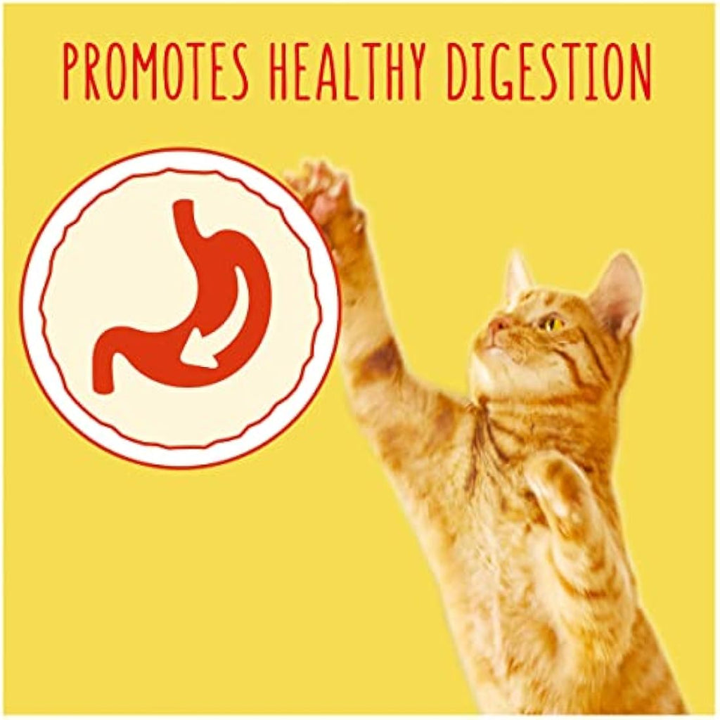 Purina Go-Cat Adult Dry Cat Food - Chicken & Duck - 4kg (Pack of 2)
