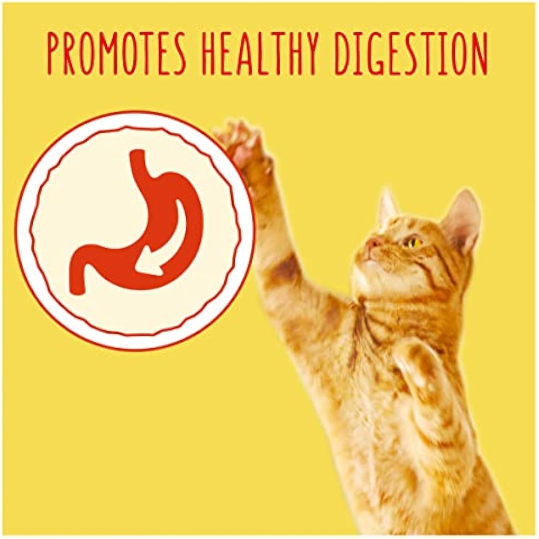 Purina Go-Cat Adult Dry Cat Food - Chicken & Duck - 4kg (Pack of 2)