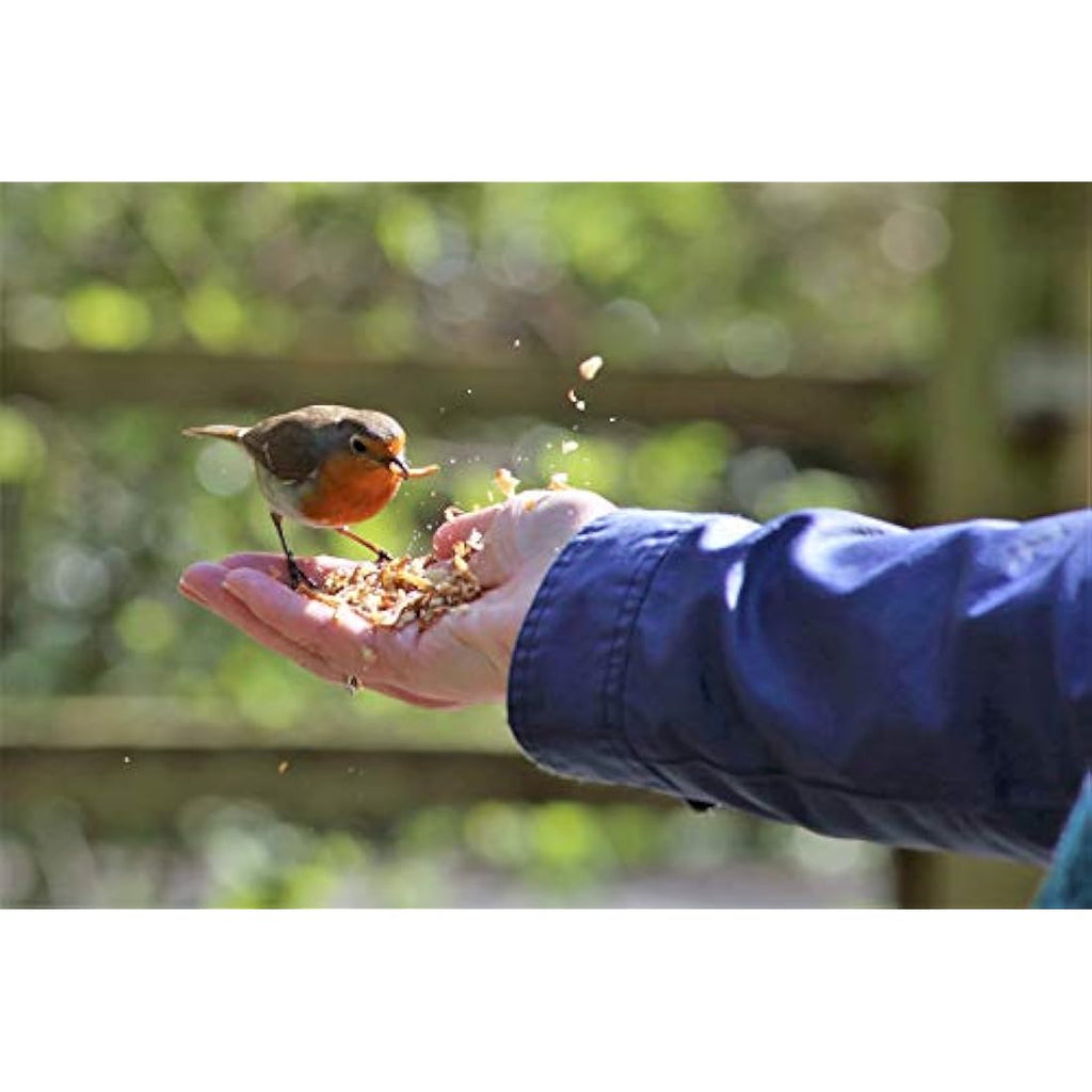 Jolof Store Dried Mealworms for Wild Birds - High Protein Feed, 5L Tub