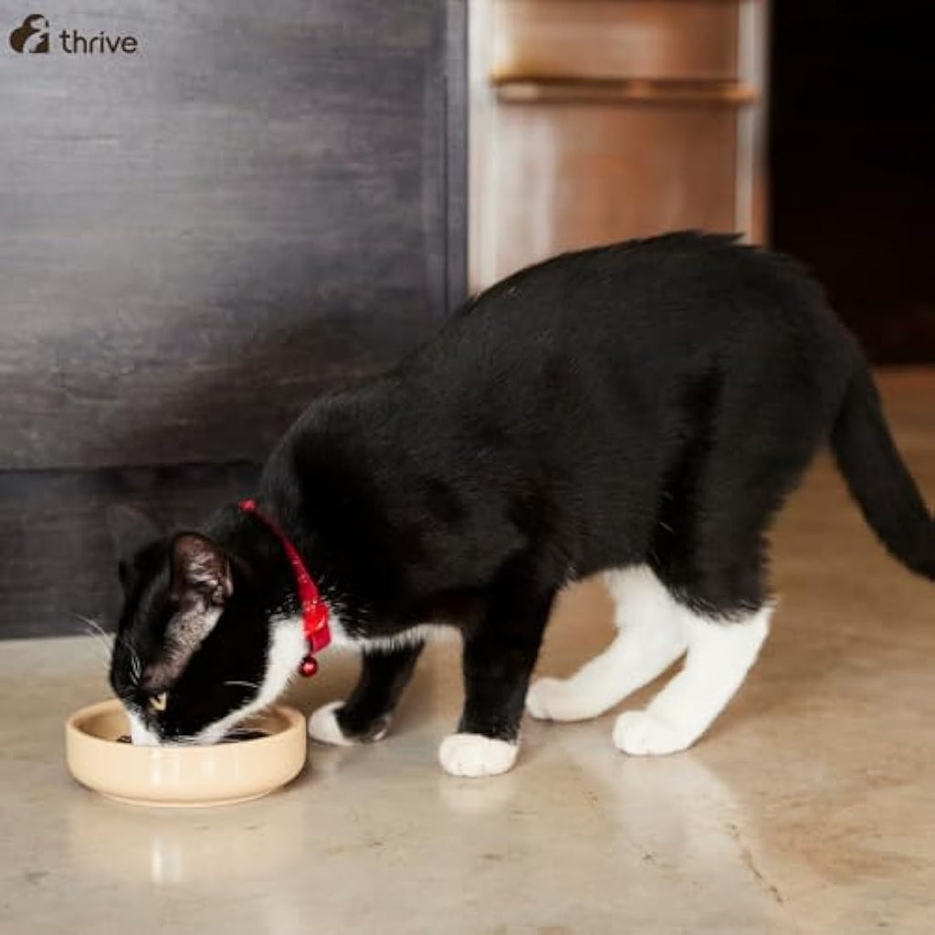 Thrive PremiumPlus Grain-Free Cat Food – Salmon & Herring – 1.5kg
