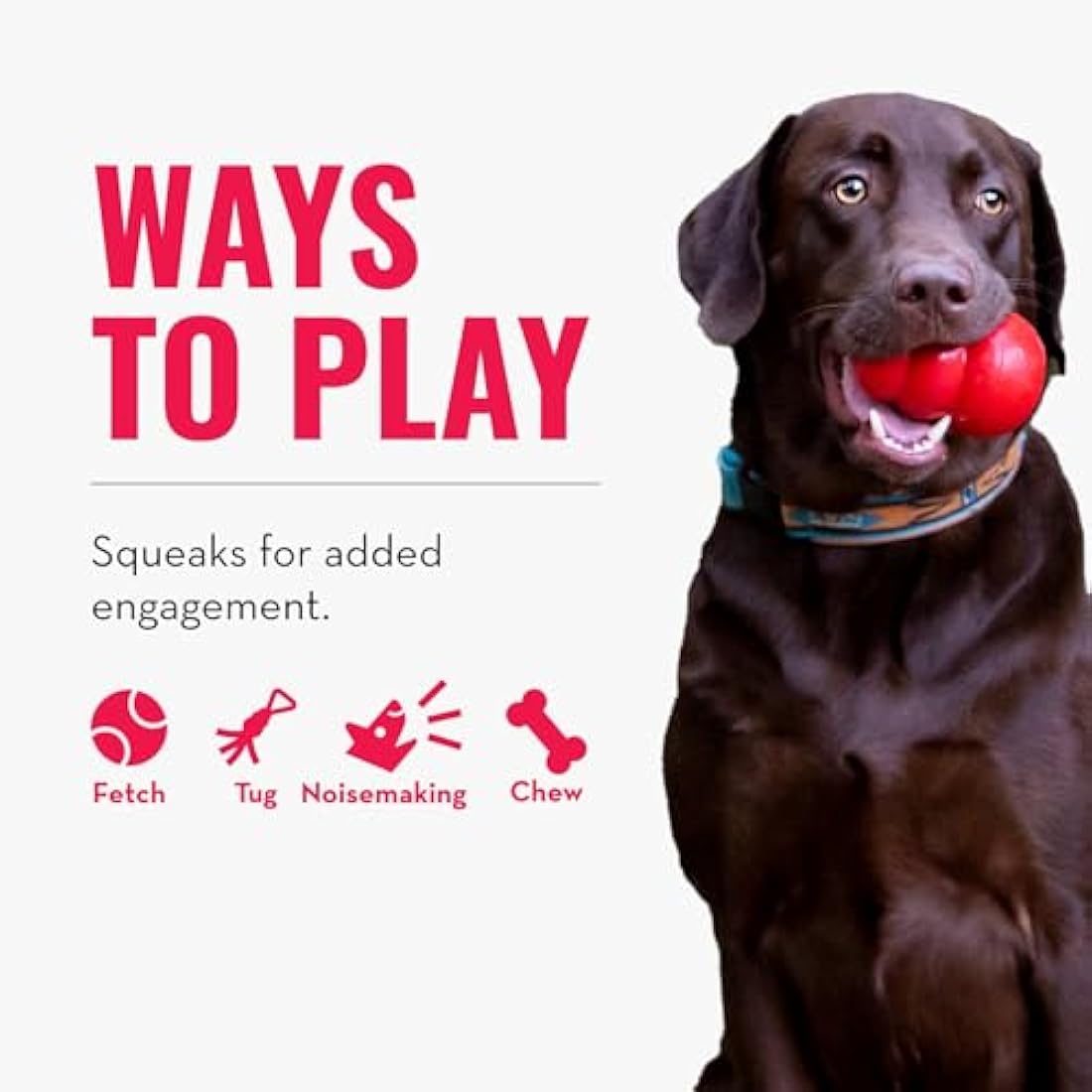 KONG Wubba Puppy Nylon Tug of War Squeaky Dog Toy – Assorted Colors