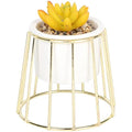 Sleepdown Artificial Succulent in Gold Cage Stand – Ochre Home Decor