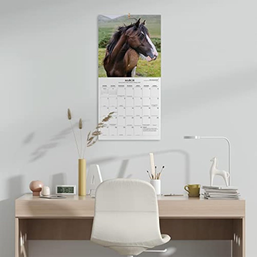 Grupo Erik Horse Wall Calendar 2023 | 12-Month Family Planner | 12x12