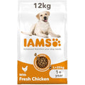 IAMS Adult Large Breed Dry Dog Food – Chicken & DentalCare – 12kg