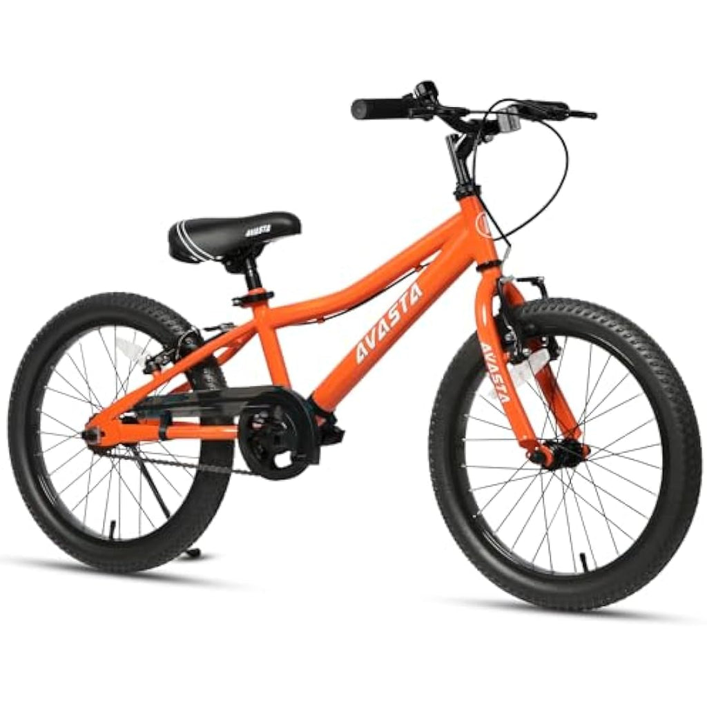 AVASTA Bilbo 20 Inch Kids Bike - Dual Handbrakes & Steel Frame
