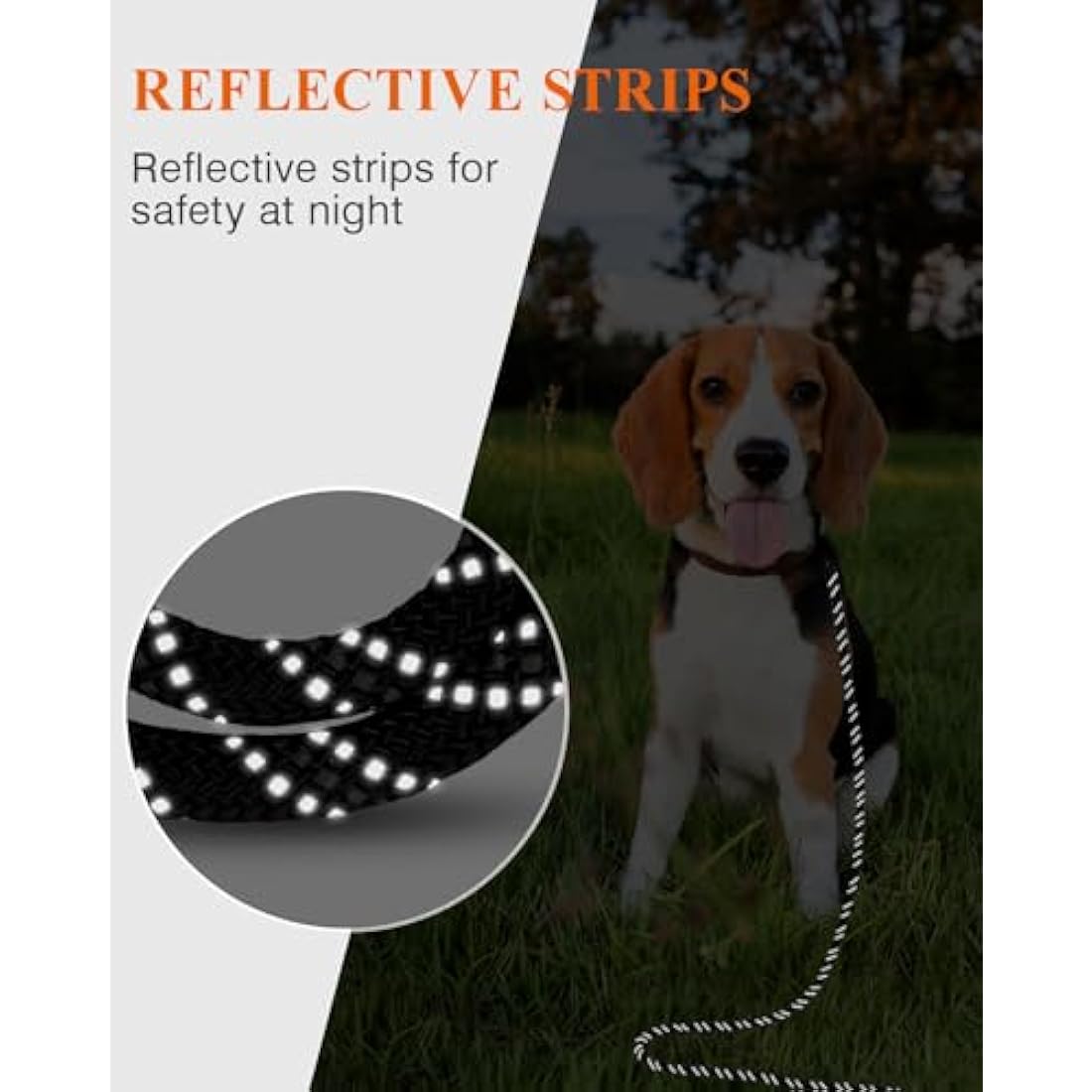 Taglory 20m Dog Training Lead | Reflective Long Nylon Leash - Black