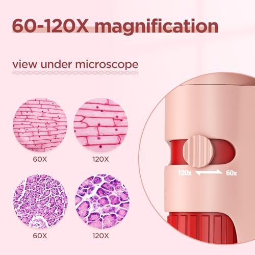 Jolof Store 60x-120x Mini Pocket Microscope with 5 Prepared Slides