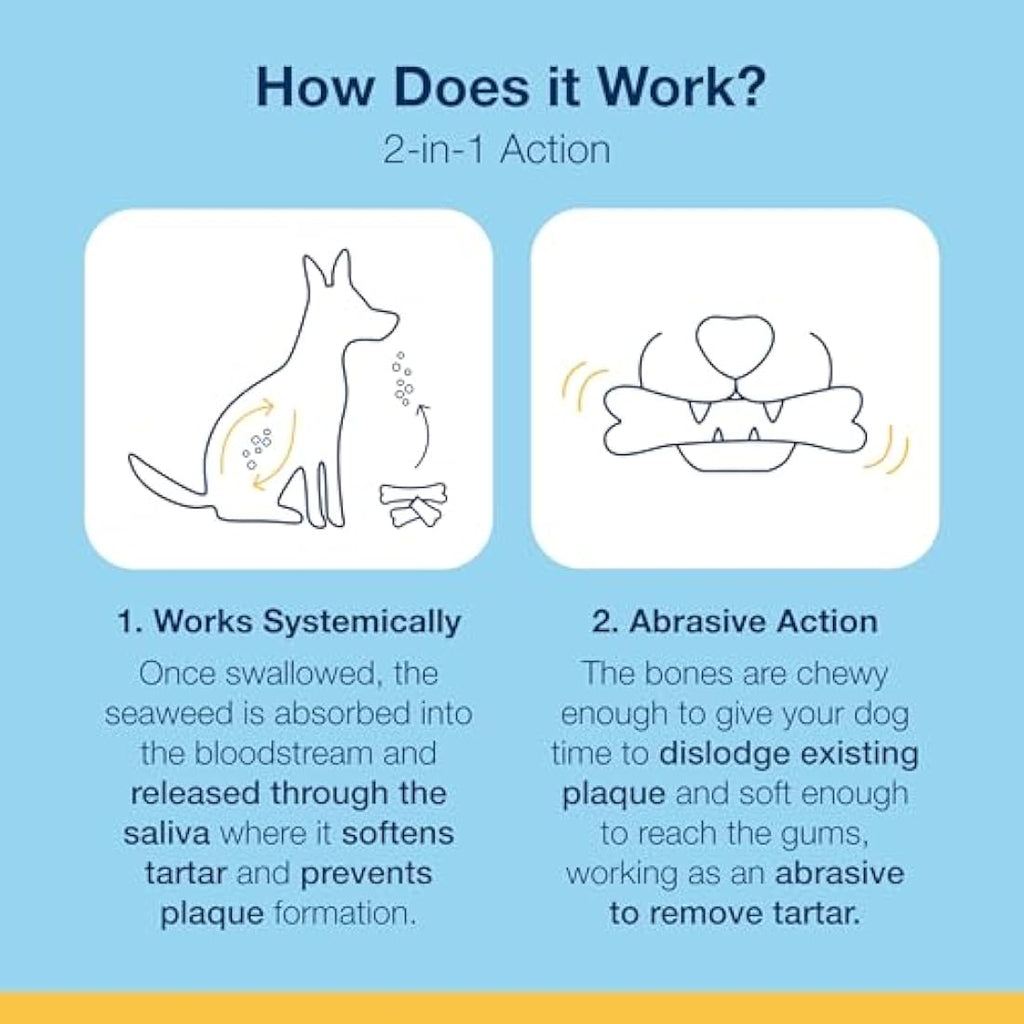 ProDen PlaqueOff Dental Bones for Large Dogs - Vegetable Fusion