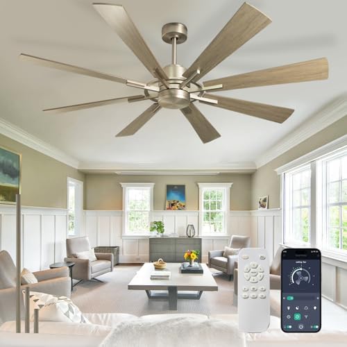 Depuley 60 Inch Large Ceiling Fan | 8-Blade Reversible DC Motor Farmhouse