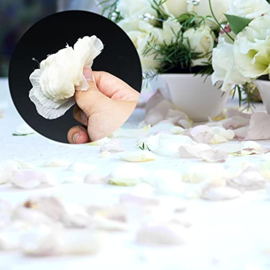 1000 Pcs Off White Silk Rose Petals for Wedding Decor
