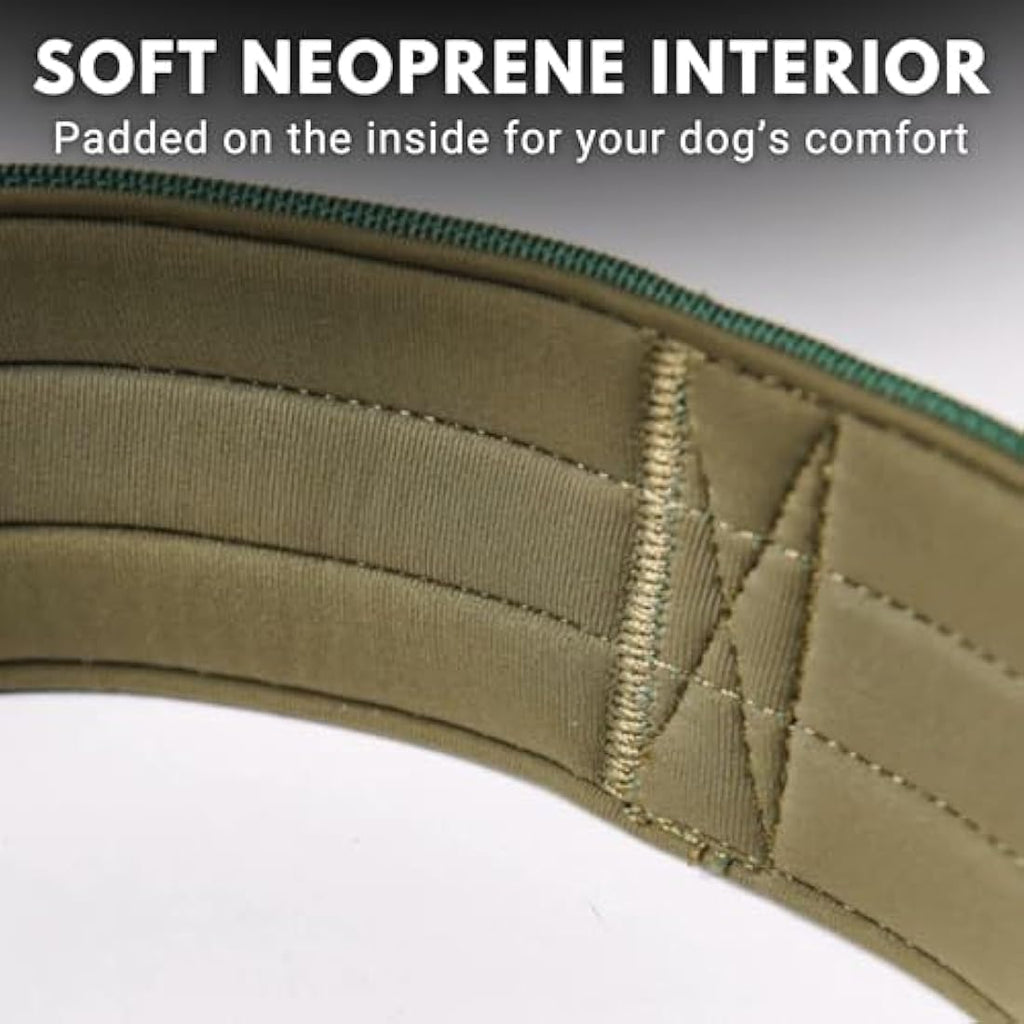 Spark Paws Tactical Dog Collar | Heavy-Duty Padded Nylon – Army Green, S