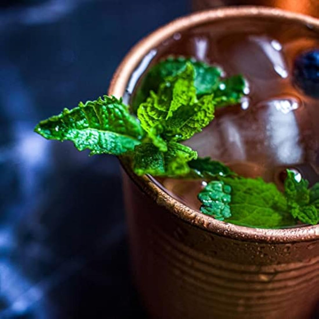 Kosdeg Copper Cocktail Tins Set of 2 – 12oz Moscow Mule Metal Tumblers