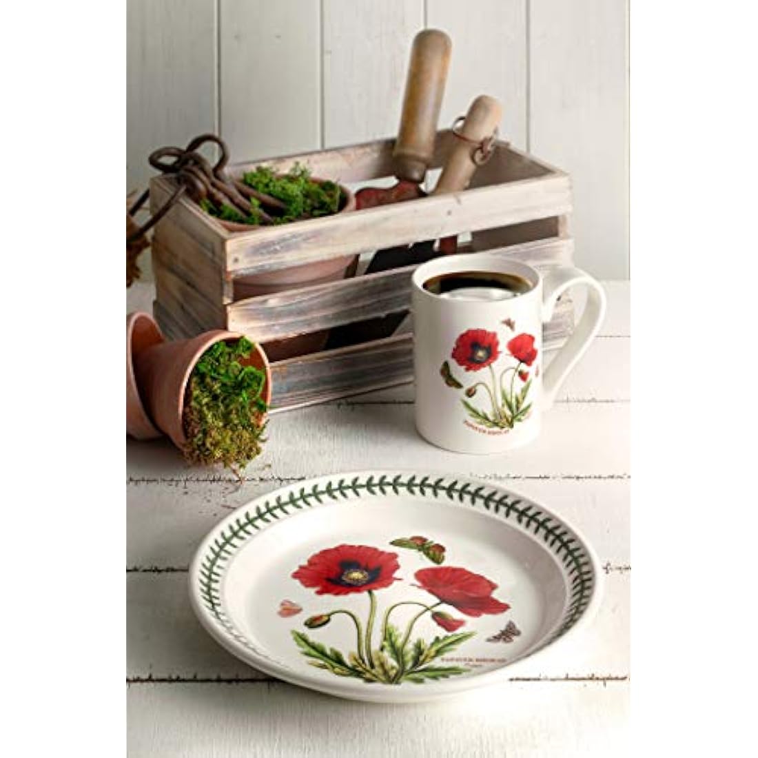 Portmeirion Botanic Garden Ceramic Plates - Set of 6 Floral 20cm Plates