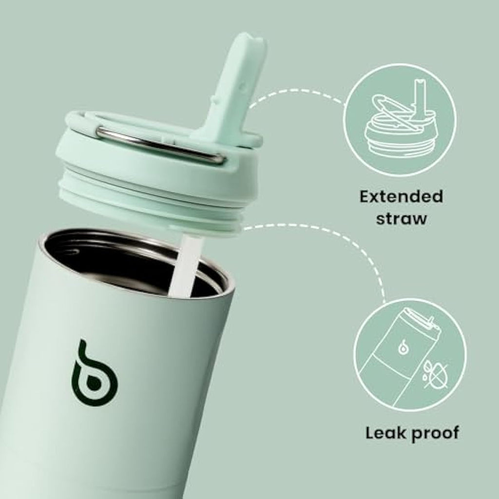 Insulated Stainless Steel Water Bottle with Straw - 700ml