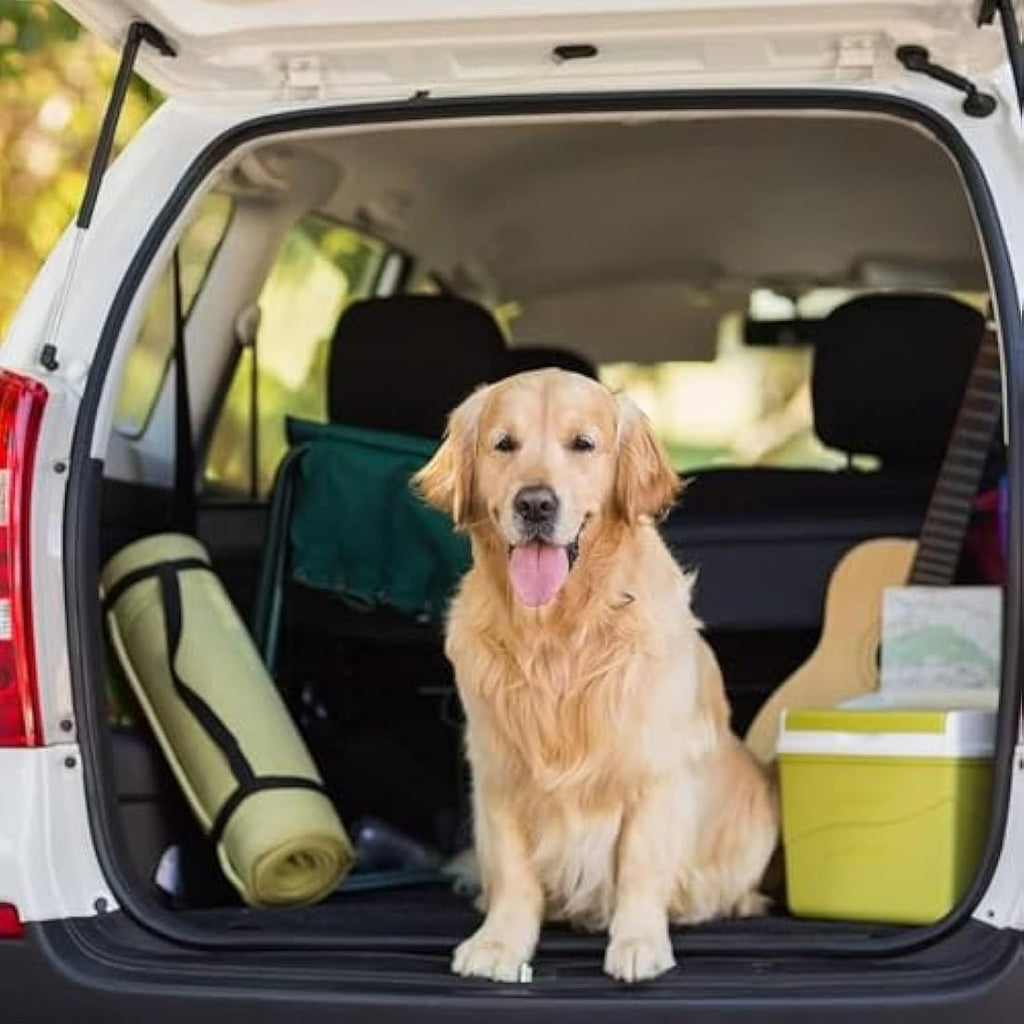 Jolof Store Waterproof Car Boot Liner for Dogs – Universal SUV Protector