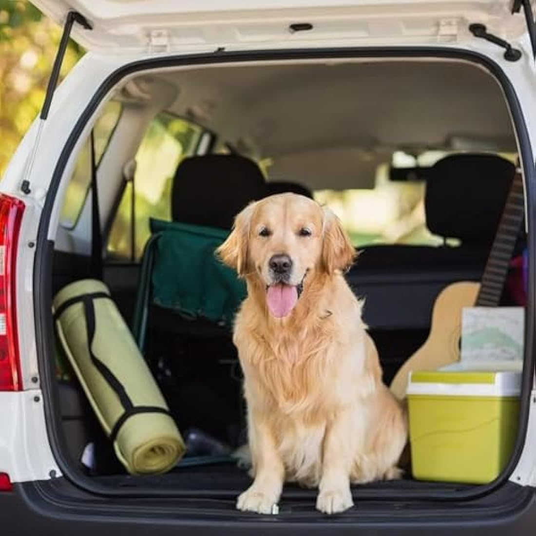 Jolof Store Waterproof Car Boot Liner for Dogs – Universal SUV Protector