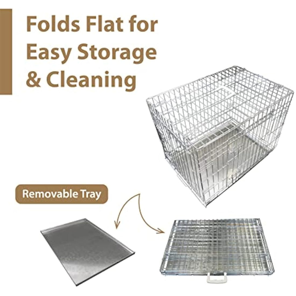 Ellie-Bo 36-inch Folding 2-Door Dog Crate | Silver Metal Training Cage