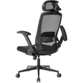 Realm of Thrones VALOUR Ergonomic Mesh Office Chair with Lumbar Support