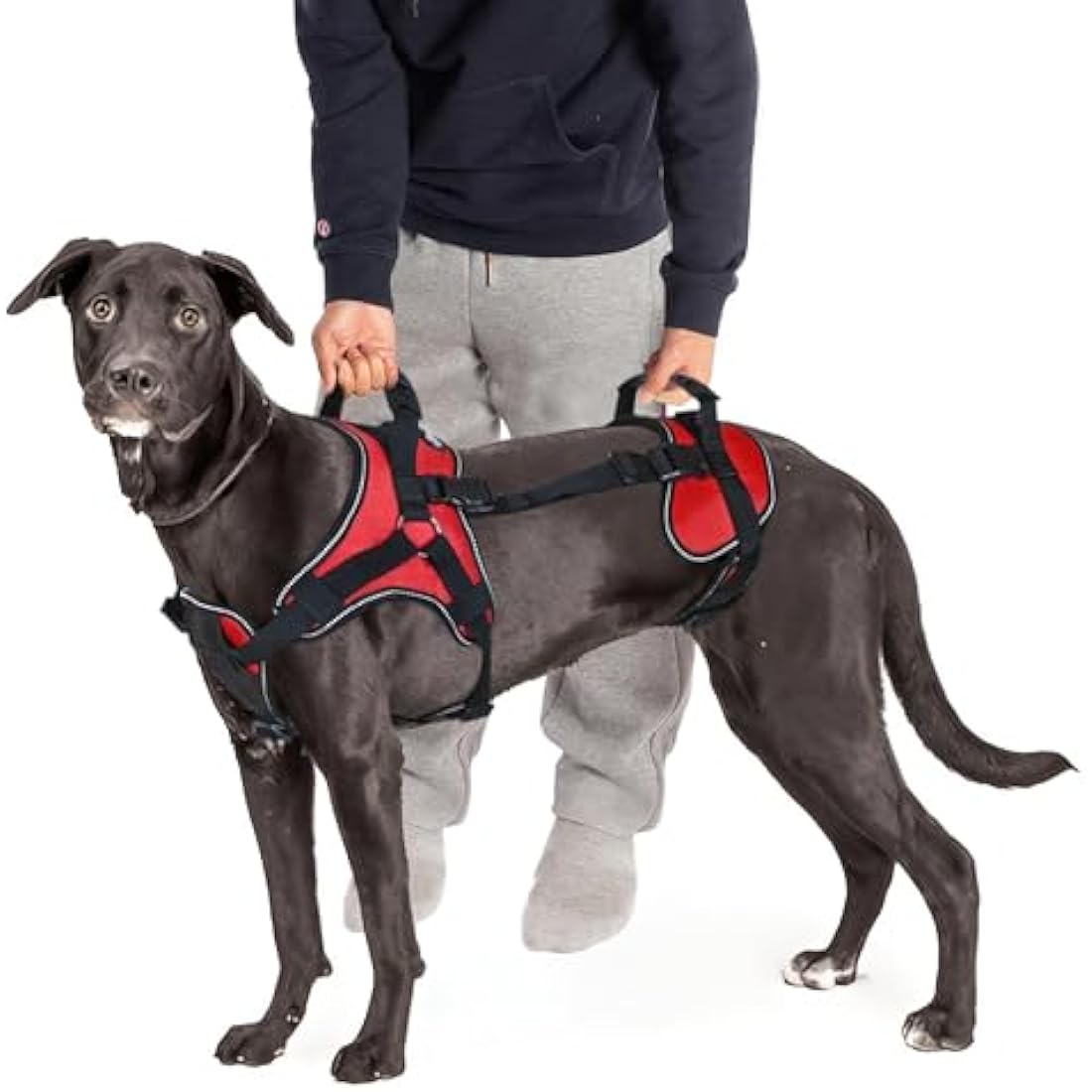 Doggie Stylz Full-Body Lifting Dog Harness | Multi-Functional Support – L