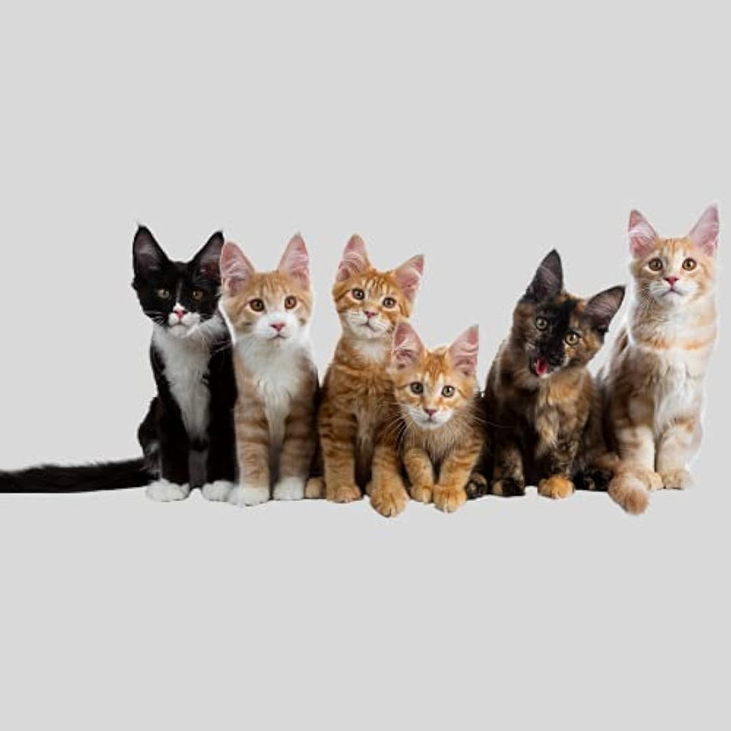Jolof Store Scratch Resistant Cat Litter Tray Liners - 60 Pack (70x40cm)