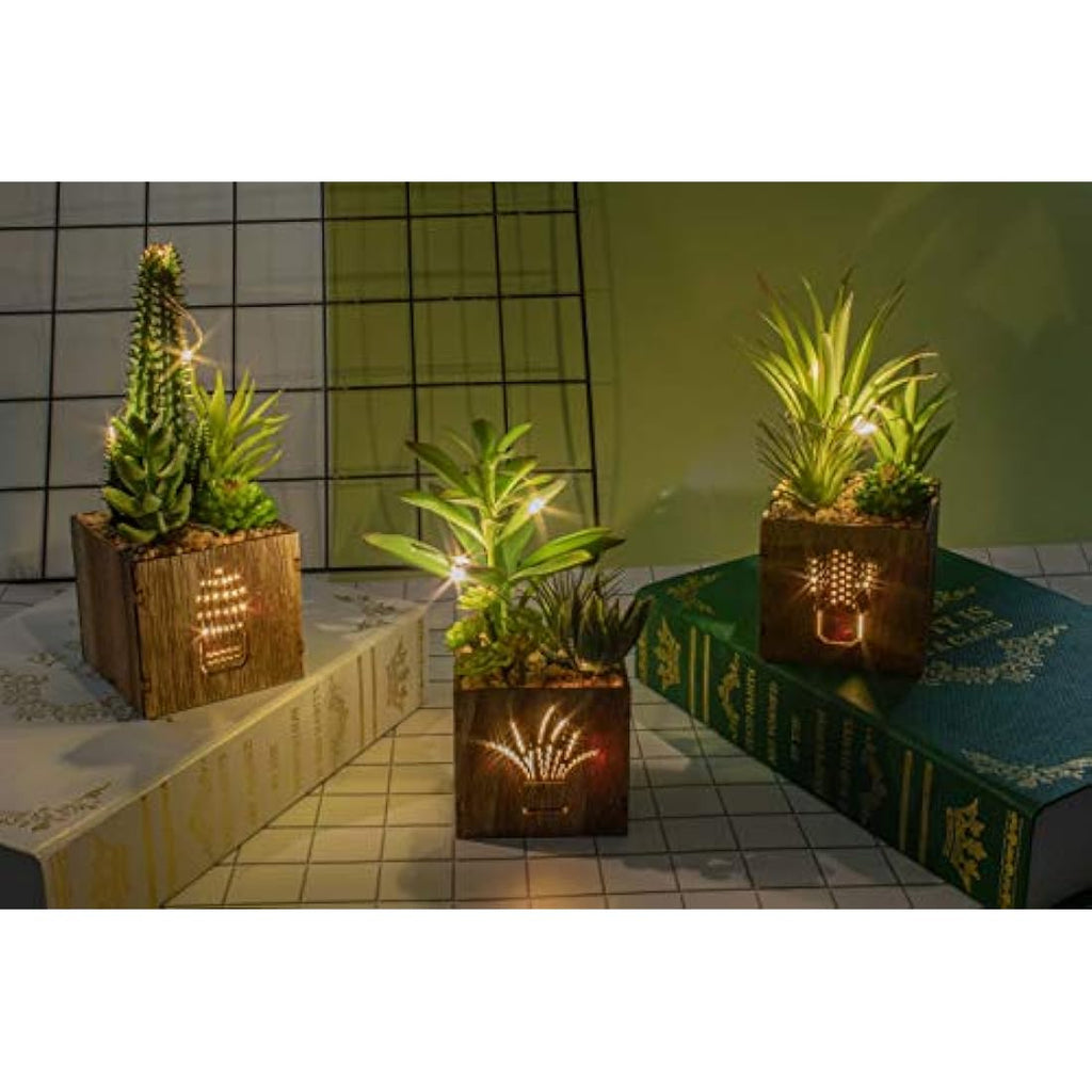 BEGONDIS Set of 3 Artificial Succulents with LED Lights in Wooden Box