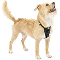 Kurgo Tru-Fit Dog Car Harness – Crash Tested No-Pull Vest, Black, XS