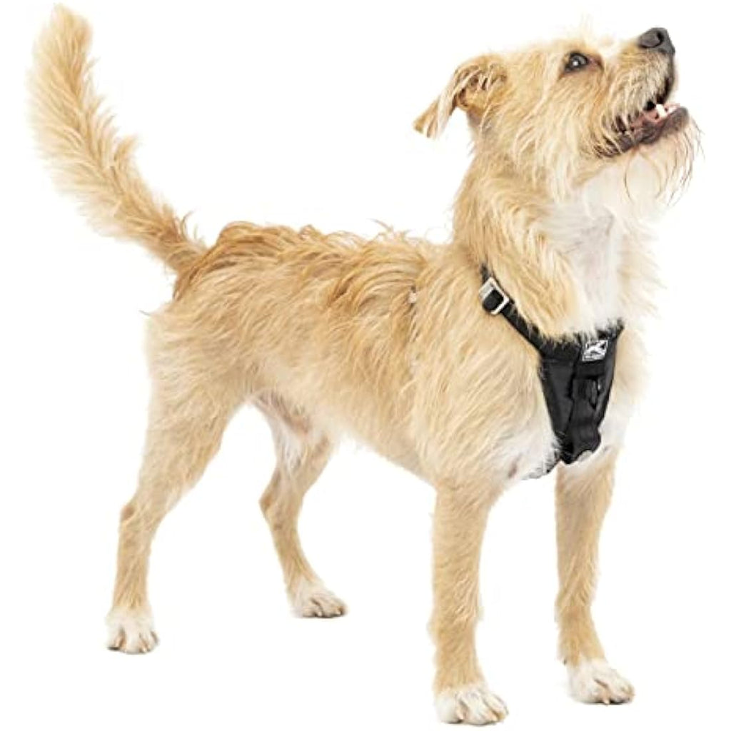 Kurgo Tru-Fit Dog Car Harness – Crash Tested Safety Vest with Tether