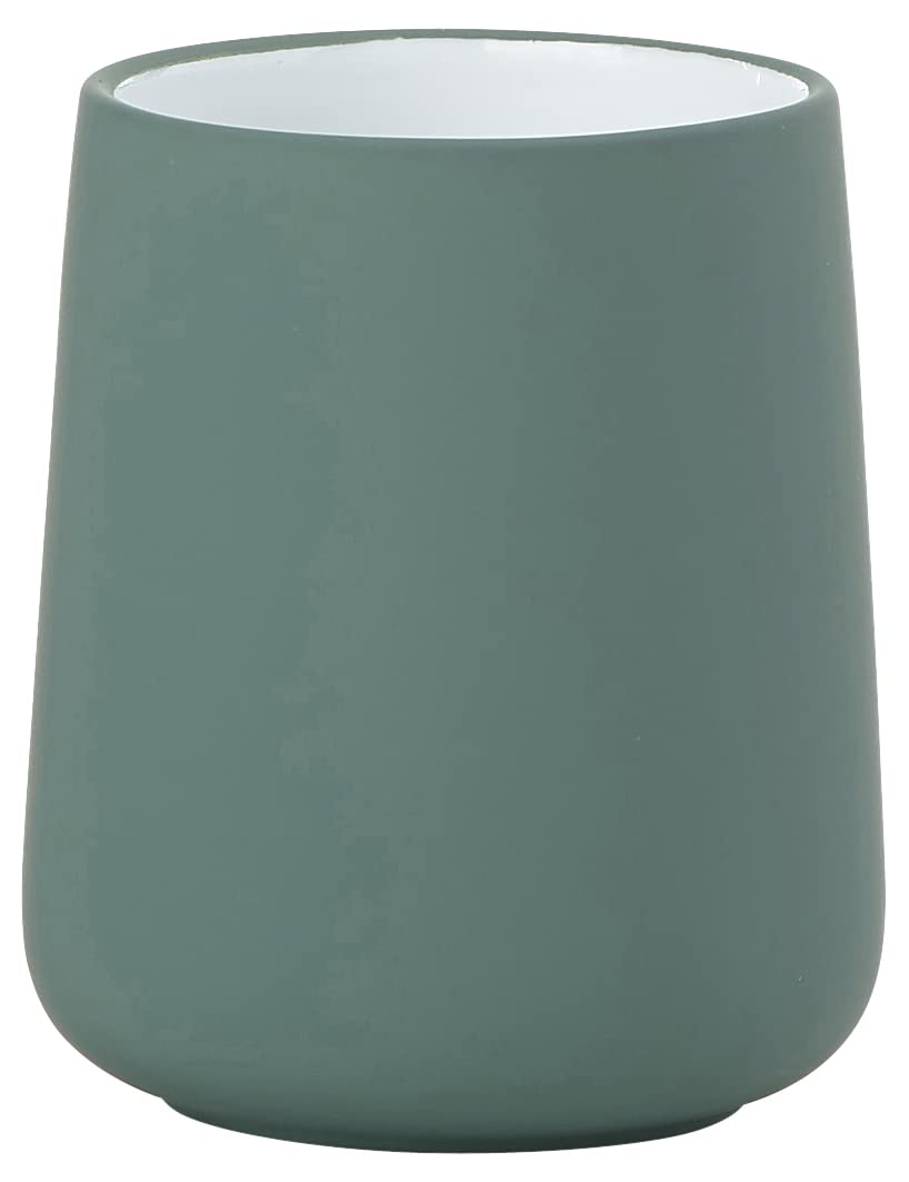 Zone Denmark Nova Toothbrush Holder – Soft Touch Porcelain, Cactus Green
