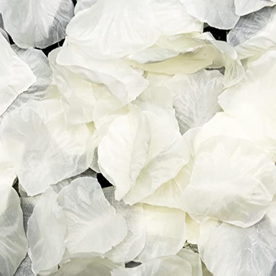 1000 Pcs Off White Silk Rose Petals for Wedding Decor