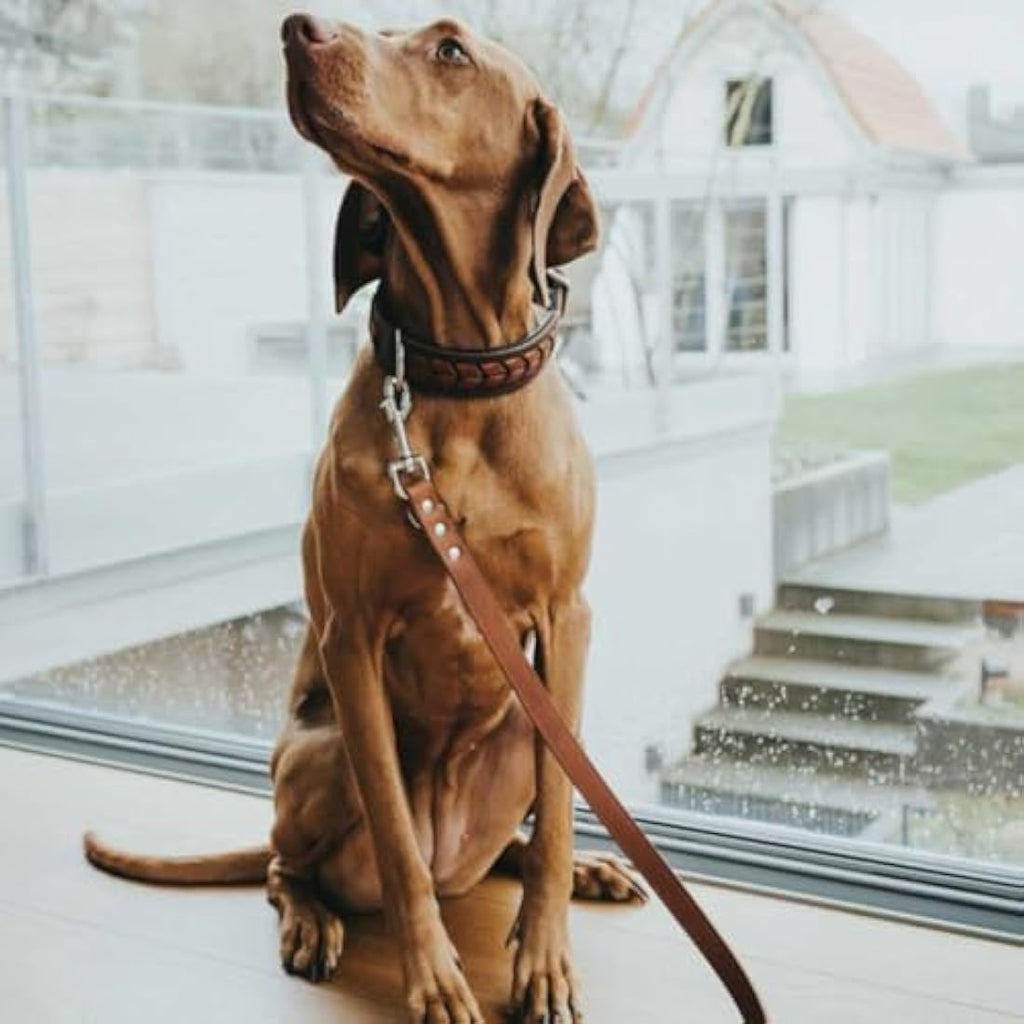 Hunter Training Leash – Soft Genuine Cow Leather Multi-Lead, Cognac