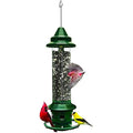 Jacobi Jayne Squirrel Proof Bird Feeder – Metal Buster Plus, Green