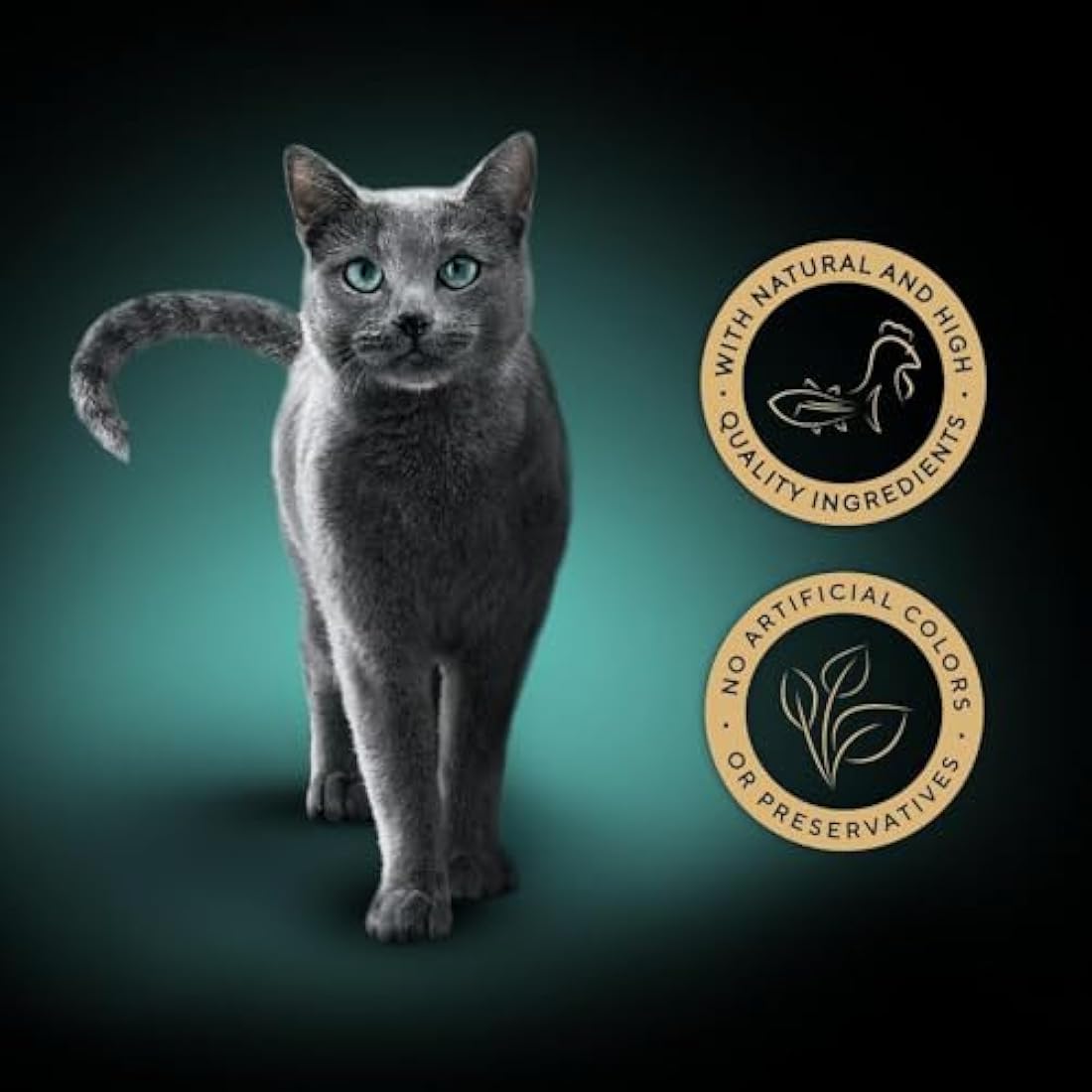 Sheba Wet Cat Food Trays - Chicken and Tuna in Gravy - 32 x 60g