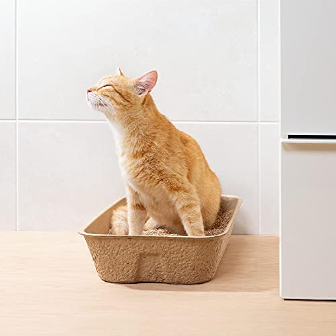 Navaris Disposable Cat Litter Trays | 10-Pack Leakproof Cardboard Liners
